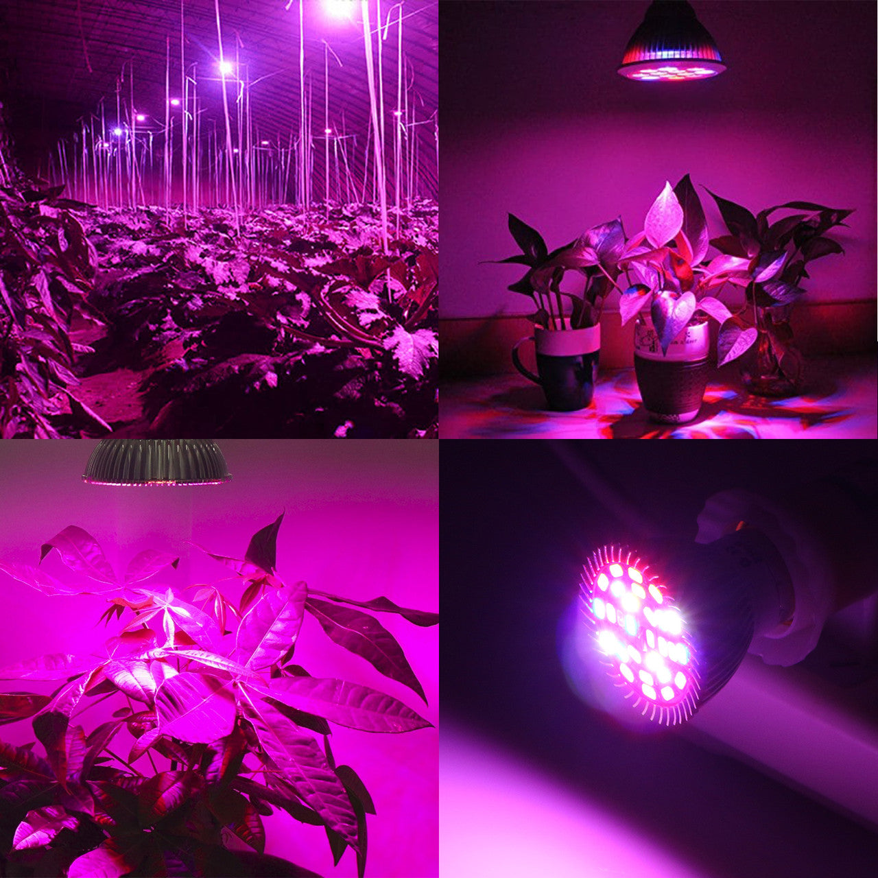 LED Grow Light, Full Spectrum E26 27 LEDs Grow Light Bulbs for Indoor Plants Greenhouse, 2Pcs