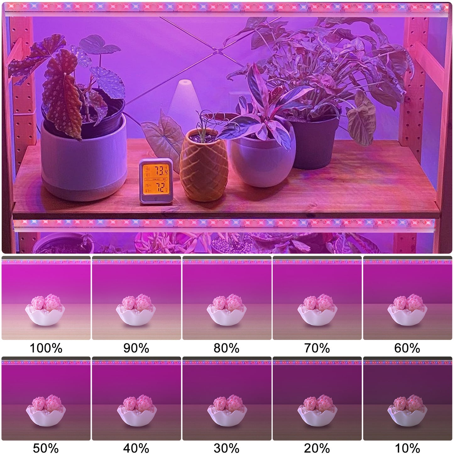 LED Plant Grow Light Strips - Full Spectrum Light Two Strips for Indoor Plants, Succulents, Seedlings, and Greenhouse Gardens