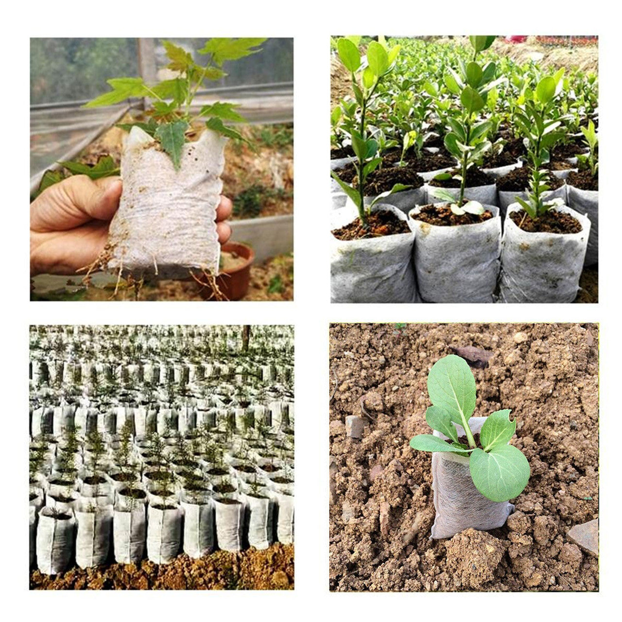 100PCS Biodegradable Non-woven Nursery Bags Plant Grow Planting Seedling Pot US