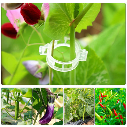 UV Resistant and Durable Plant Support Clips, Perfect for Watermelons, Tomatoes, etc., 200PCS