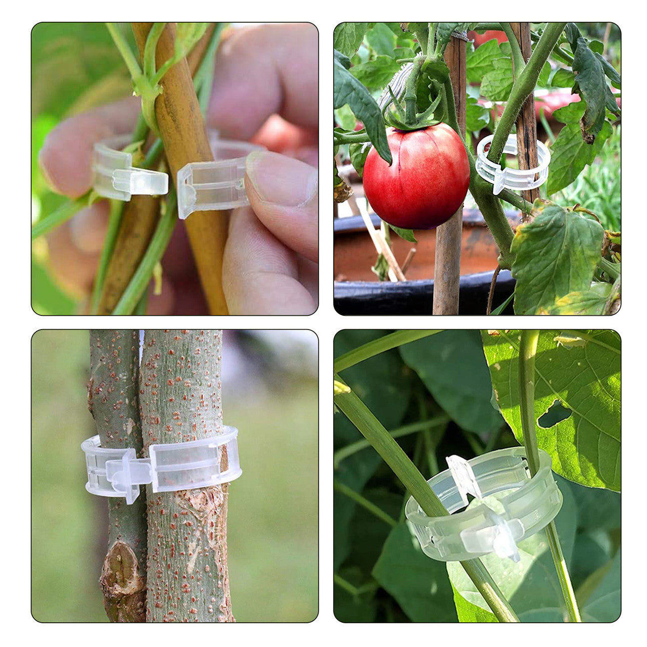 UV Resistant and Durable Plant Support Clips, Perfect for Watermelons, Tomatoes, etc., 200PCS