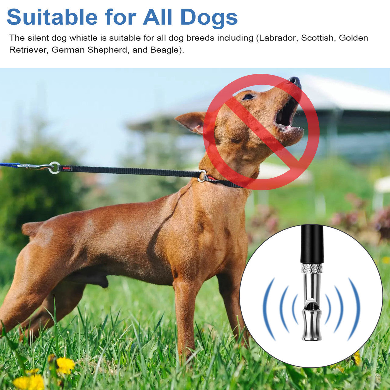2 Pack Dog Whistle - Adjustable Ultrasonic Dog Whistle to Stop Barking Neighbors; Professional Silent Dog Whistles to Stop Barking Training Tool for Dogs, with Black Strap Lanyard