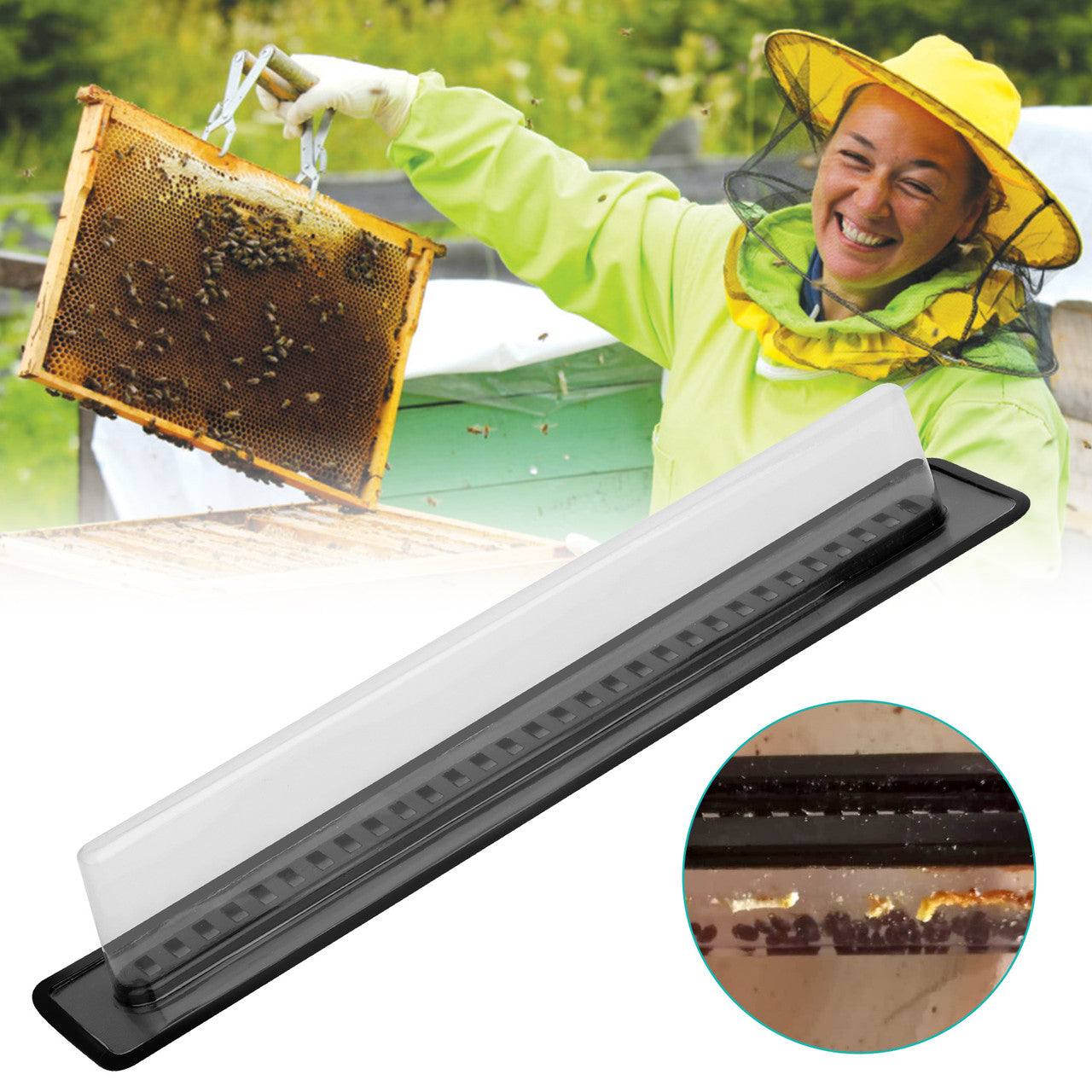 10 Packs Plastic Beekeeping Tools - Small Hive Beetle Trap for Beekeepers in Beekeeping Supplies
