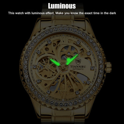 Luxury Mens Stainless Steel Automatic Mechanical Wrist Watch, Gold